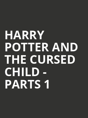 Harry Potter and the Cursed Child - Parts 1 & 2 Sun 13:00 & 18:30 at Palace Theatre